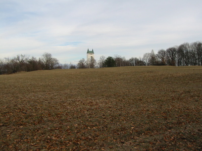 198-9812_IMG.JPG