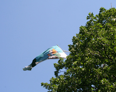 IMG_1154.jpg