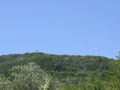 IMG_1140.jpg