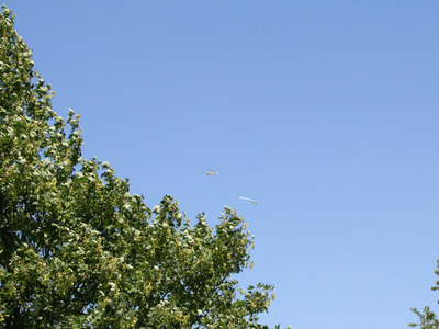 IMG_1132.jpg