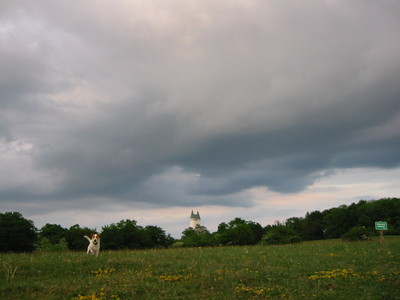 162-6285_IMG.JPG